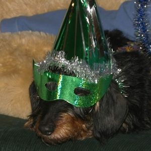 Meet your Posher, Marlene